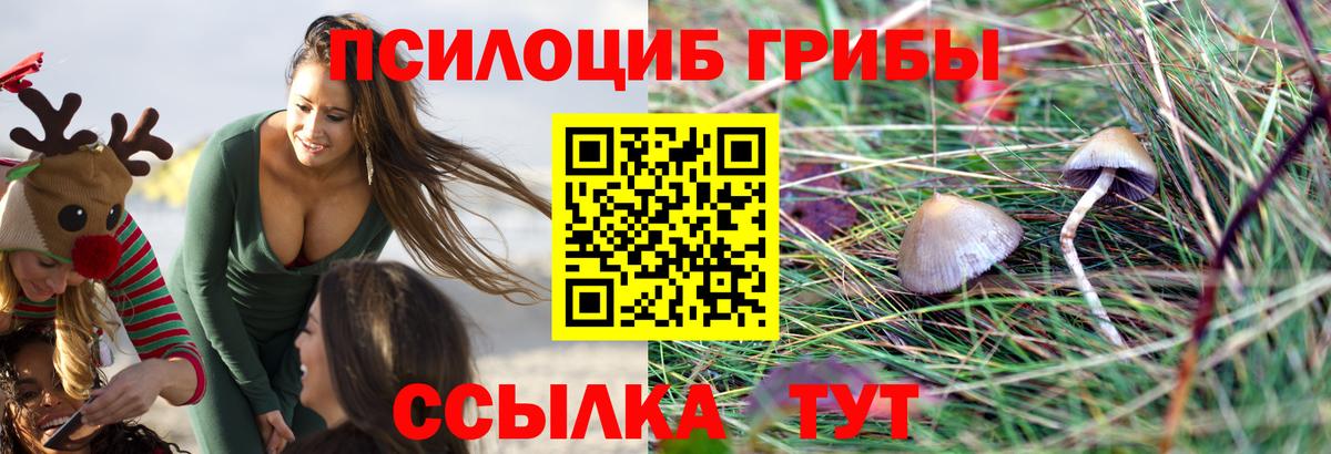 Псилоцибиновые грибы MAGIC MUSHROOMS  Галлюциногенные грибы MAGIC MUSHROOMS  Вход с VPN  Похвистнево 