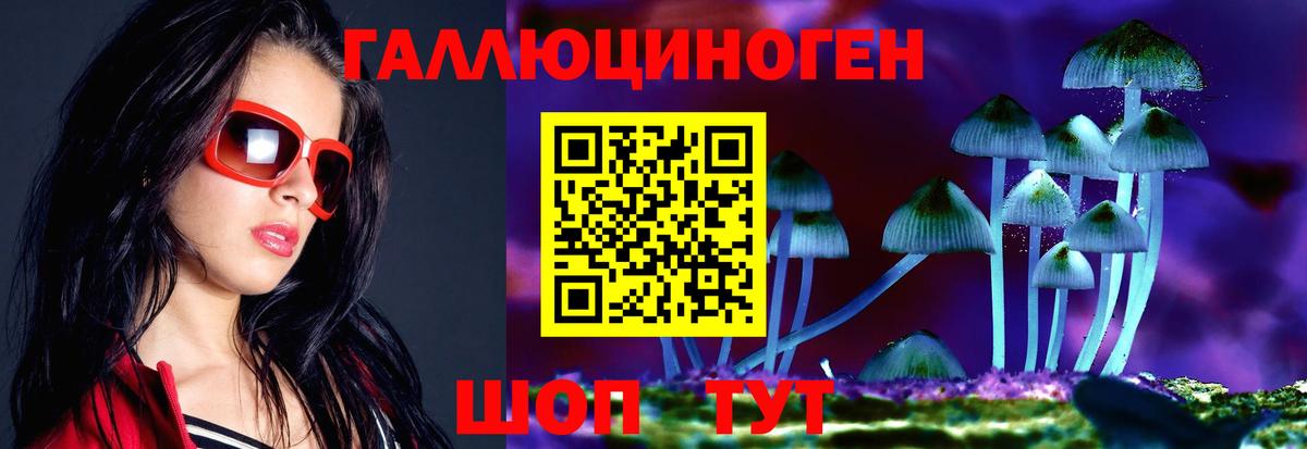 Псилоцибиновые грибы Psilocybe Похвистнево